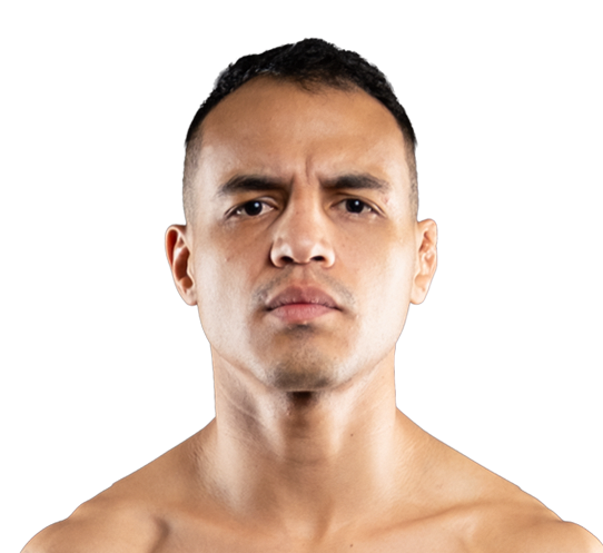 Alejandro Toro Corrales